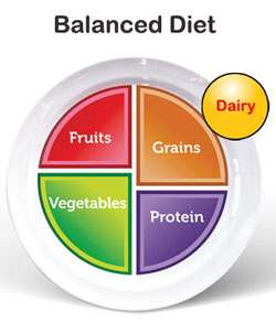 balance diet