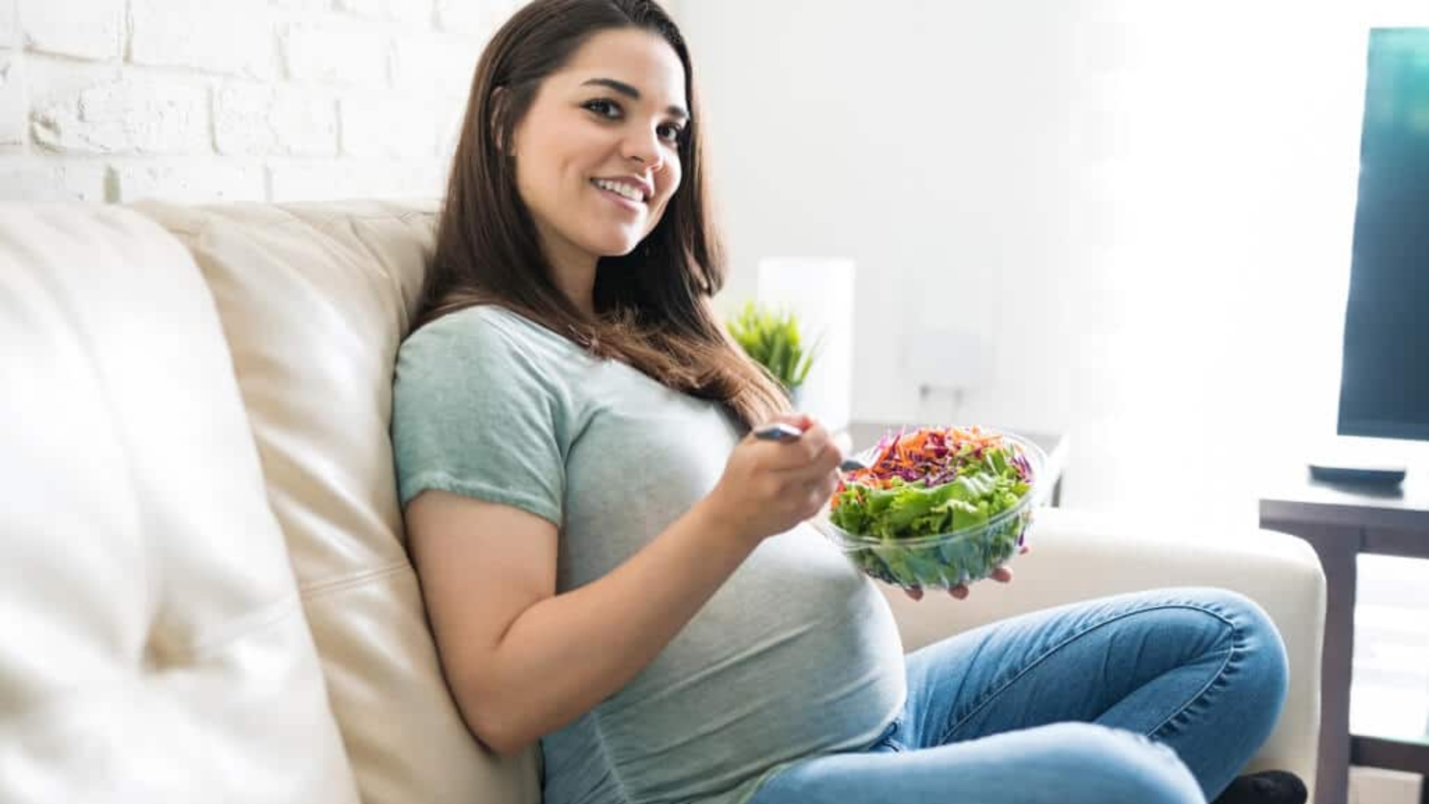 pregnancy meal plan